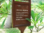 5442005-R3L8T8D-500-grass.jpg