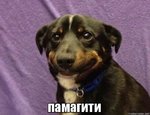 wlwj3m.jpg