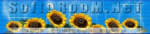softo.png