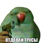 DM_V63zXiTA.jpg