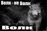 1593160266595.png