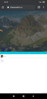Screenshot_2020-11-24-16-19-25-332_com.android.chrome.jpg