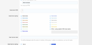 usernameStyles.png