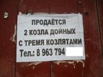 15.JPG