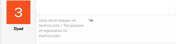 Screenshot 2024-08-29 at 18-06-33 В ожидании одобрения xenForo.Info - Ваш путеводитель по миру...png
