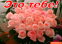 084613e0fe582b21c1438bb94fbb39ea.gif