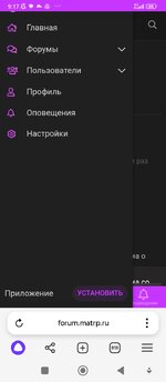 Screenshot_2025-02-10-09-17-08-922_com.yandex.browser.jpg