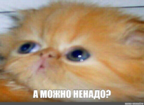 1749917600499.png
