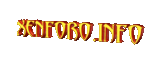 4xenforo.info.gif