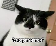 1772566908377.jpeg 1772566908377.jpeg