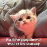 1772567508004.png 1772567508004.png