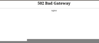 502 Bad Gateway
nginx