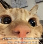 IMG_2634.jpeg