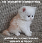 1778299251117.png