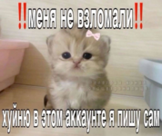 1779123702495.png