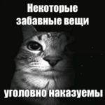 1785167884153.png