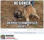 114.jpg