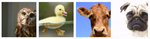 thread_image.png