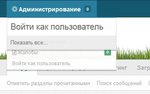 войти как.jpg