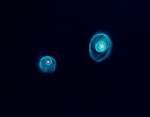 636ea4565ba133fdf62a646e1e8e282c.gif