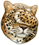 64.png