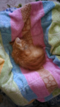 upload_2017-8-22_17-35-6.png