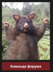 1526987664503.png 1526987664503.png