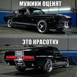 95081