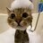 lemon_2283