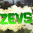 Zevs1233210
