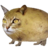 SimplMoonlight